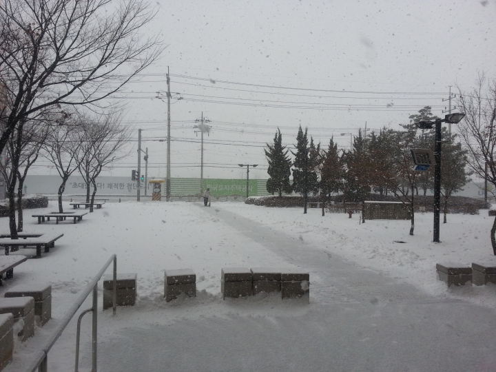 2013-12-12-13-24-52_photo.jpg : 아... 또 눈이... +_+