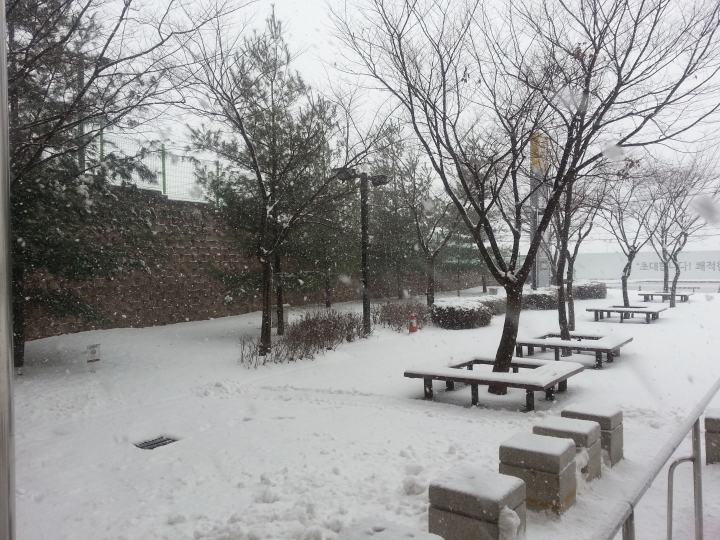 2013-12-12-13-24-56_photo.jpg : 아... 또 눈이... +_+